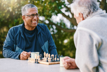 Chess in Park